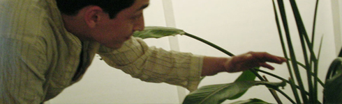 thumbnail of Zenzone
